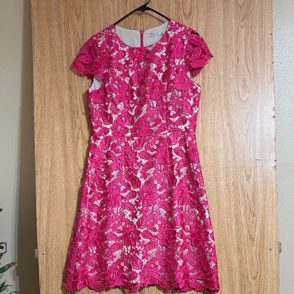 Eliza J Fuchsia Lace Mini Dress